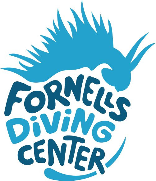 Dune Baleares Fornells - Diving Center景点图片
