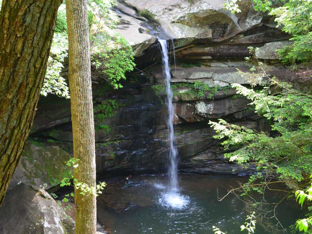 Flat Lick Falls-Gray Hawk必去景点