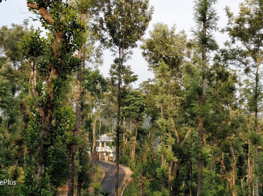 Ibbani Cadu Estate Homestay主图