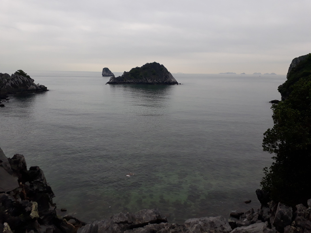 Cat Ba Travel Life景点图片