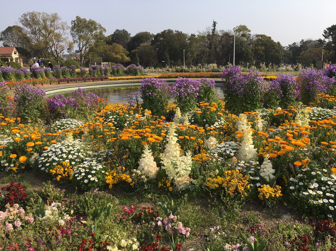 Hattori Ryokuchi Park-丰中市必去景点