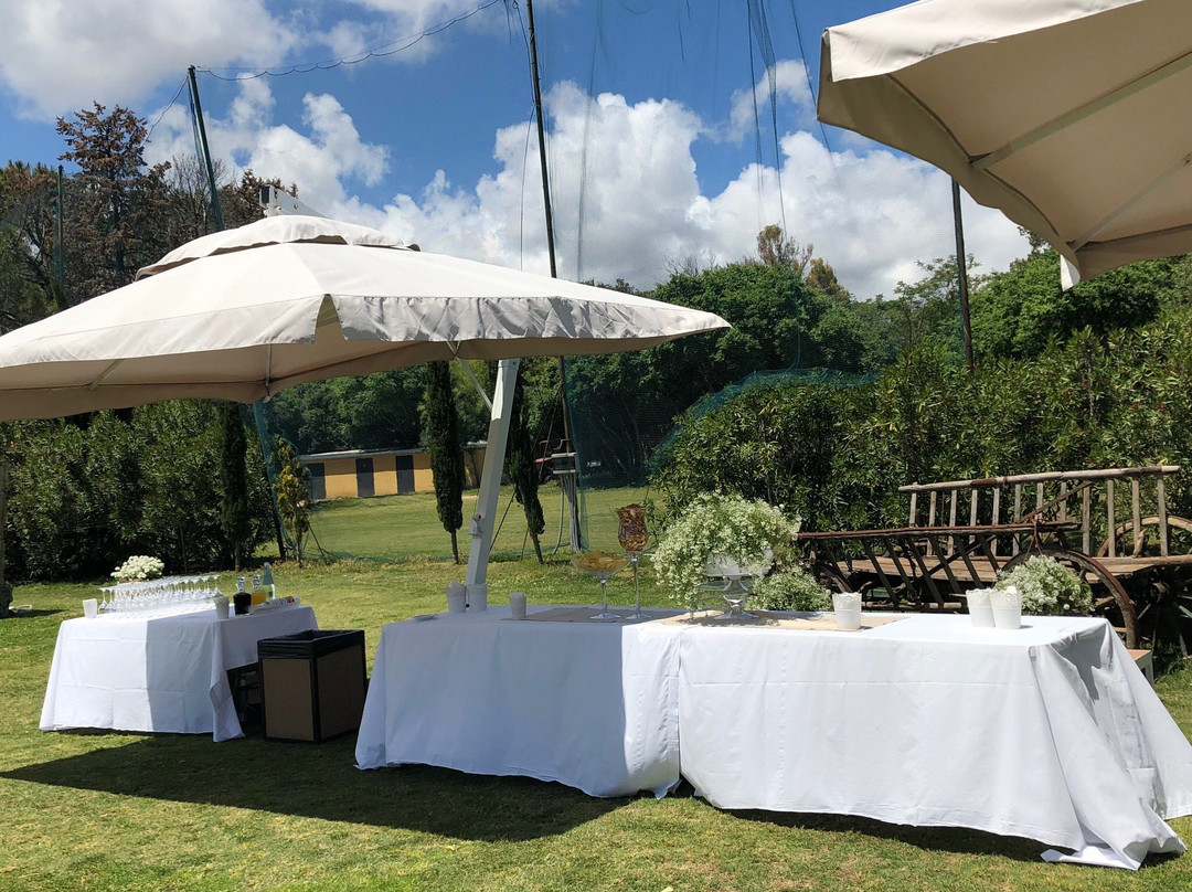 Golf Club Palermo - Parco Airoldi-巴勒莫必去景点