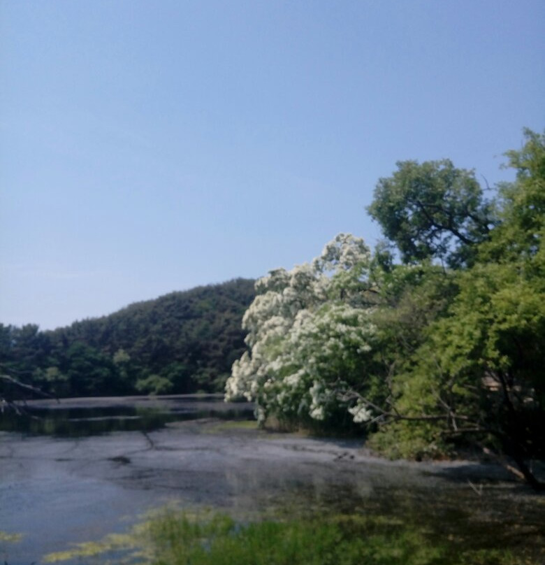 Wiyangji-密阳市必去景点