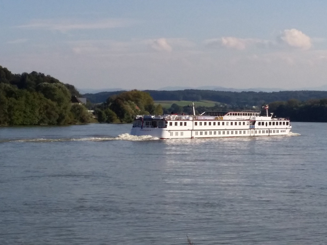 Fischwirtshaus Landmotel  Die Donaurast主图