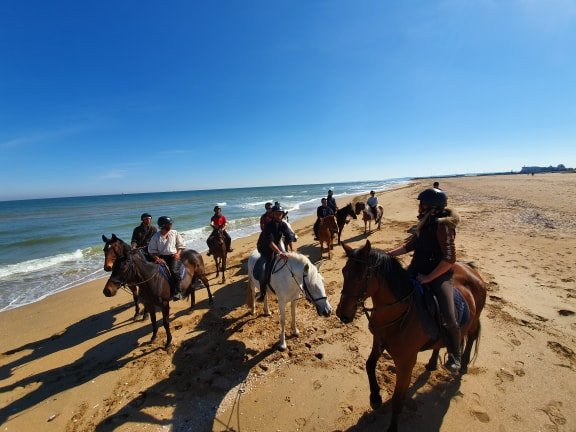 Centre Equestre de Ouistreham景点图片