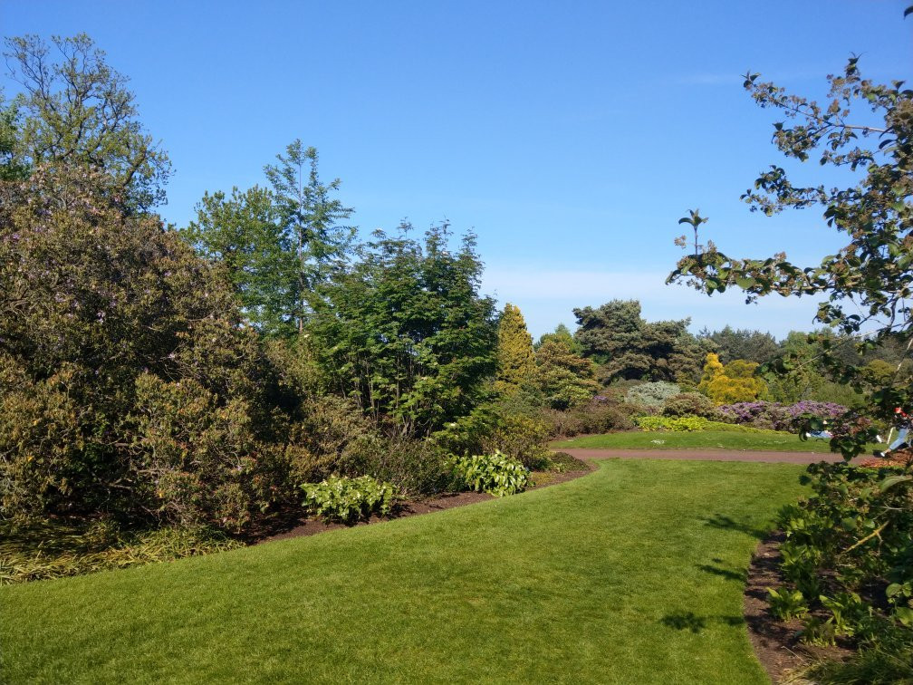爱丁堡皇家植物园景点图片