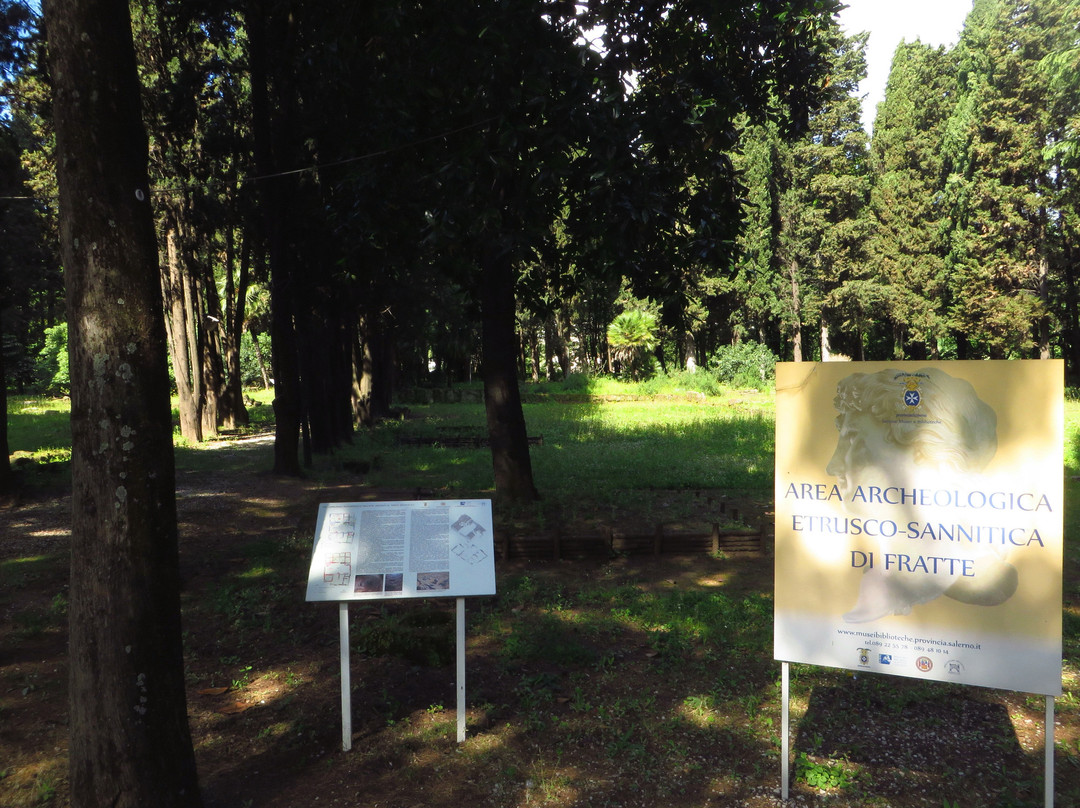 Area Archeologica di Fratte景点图片