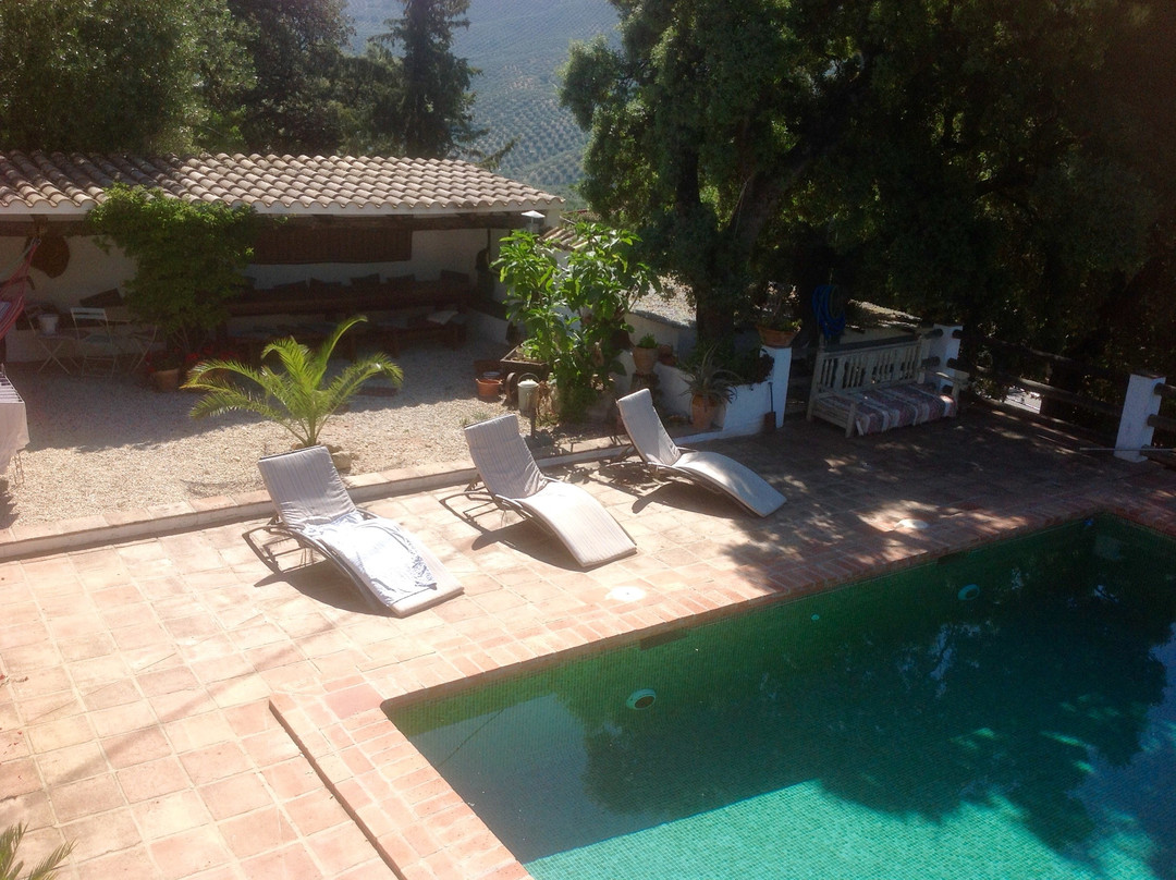 Gourmet B&B Finca Las Encinas主图