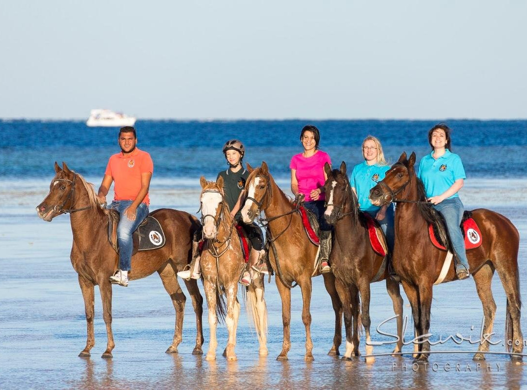 Sharm-达哈卜必去景点