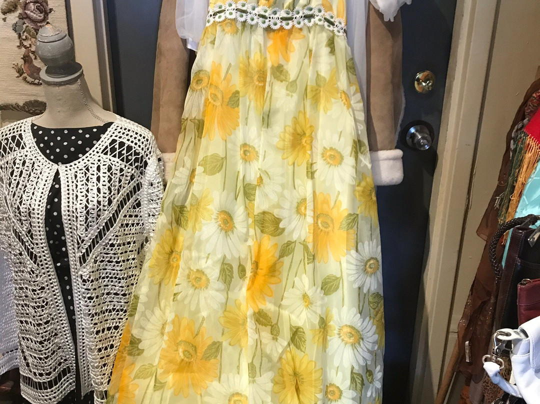 Anna Pearls Curiosities-Niantic必去景点