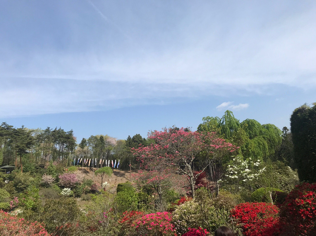 Okanbara Tsutsuji Garden-须贺川市必去景点