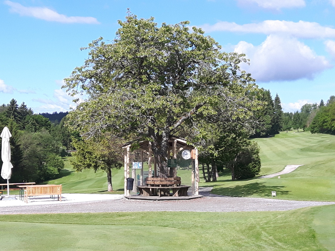 Golfanlage Velden Koestenberg景点图片