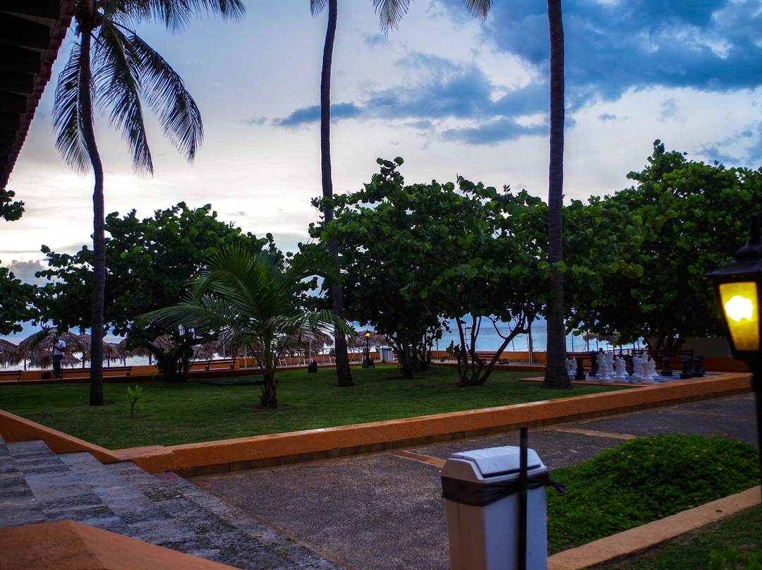 Starfish Cuatro Palmas主图