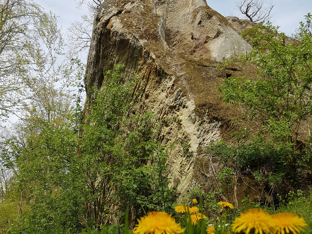Burgruine Rotenhan-Ebern必去景点