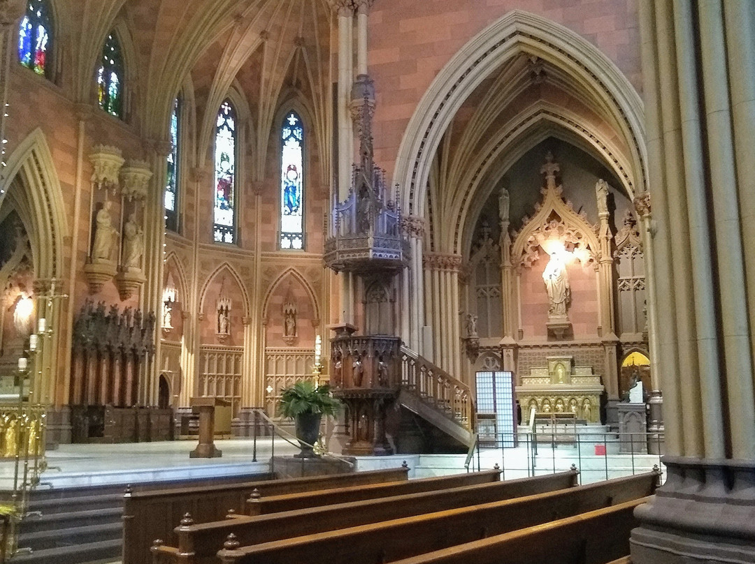 Cathedral of the Immaculate Conception景点图片