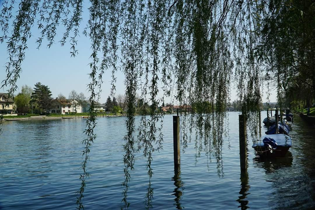 Schaffhauserland Tourismus-沙夫豪森必去景点
