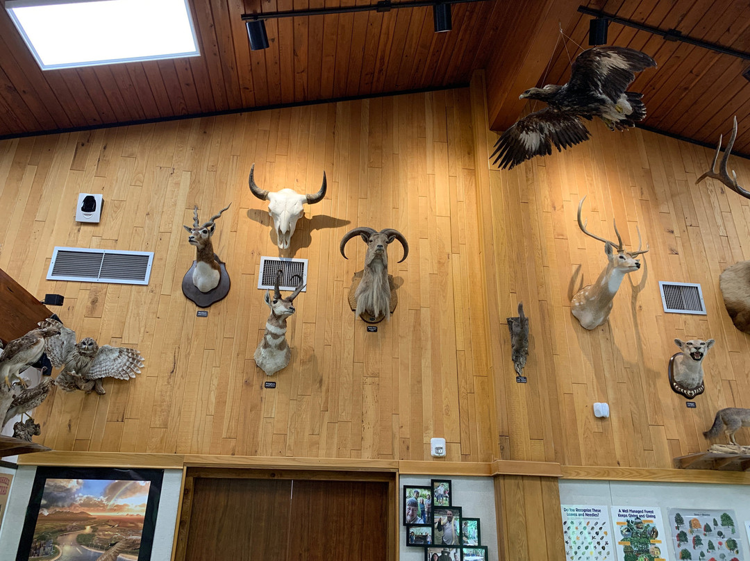 Jesse H. Jones Park and Nature Reserve-汉布尔必去景点