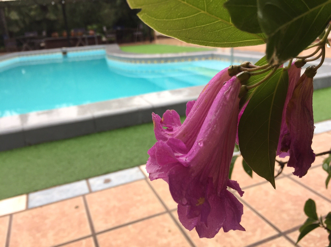 Don Numas Posada & Spa主图