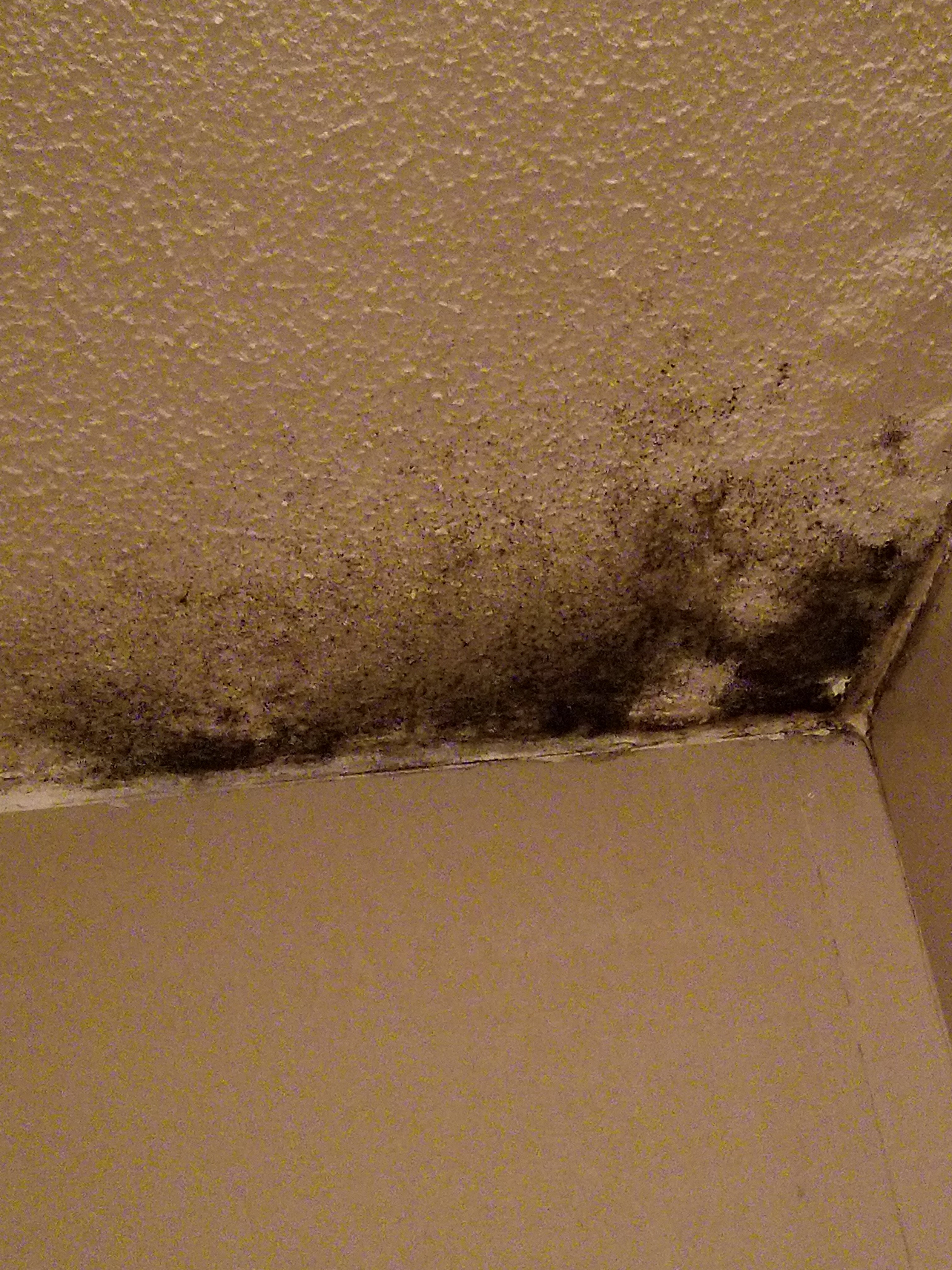 Saint John Hotel-浴室