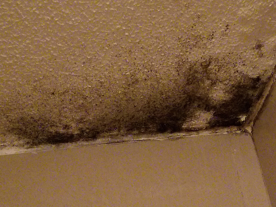 Saint John Hotel主图