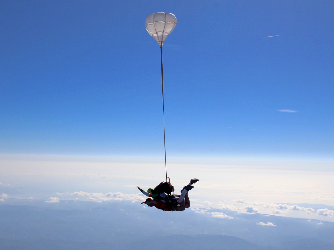 Newton Parachutisme景点图片