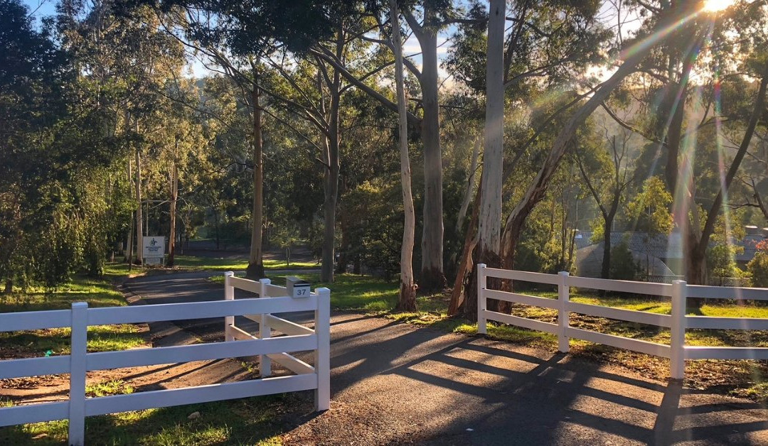 Woodhouse Adventure Park-阿德莱德必去景点