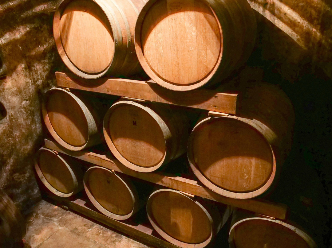 KaJan Experience - Dubrovnik Guide & Tours-杜布罗夫尼克必去景点