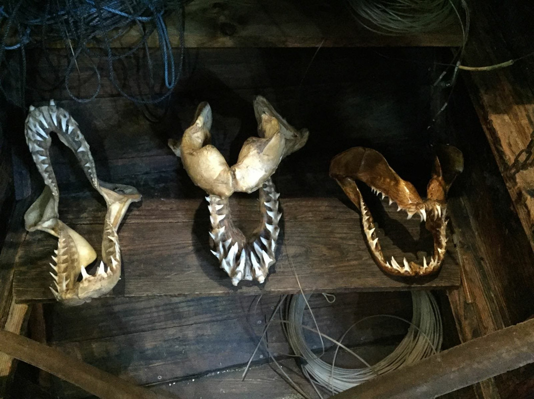 Barco Museo Boniteiro "Reina del Carmen”.-Burela必去景点