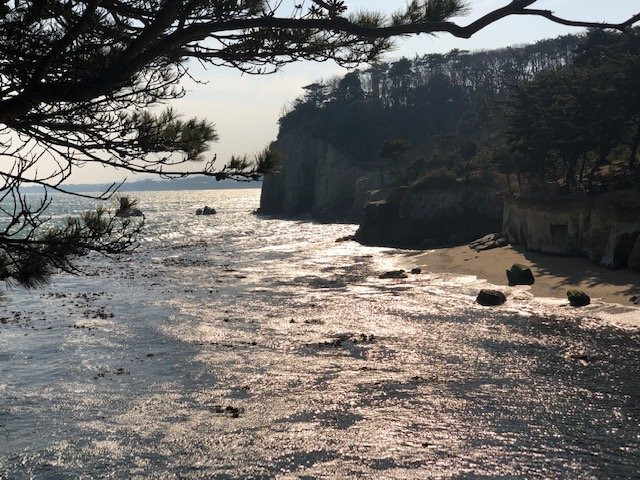Kogaigahama Ryokuchi-日立市必去景点