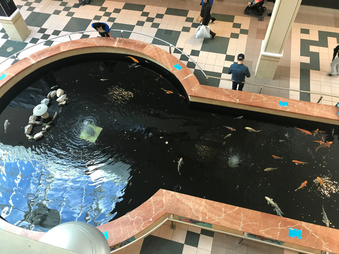 Sunrise Mall-Massapequa必去景点