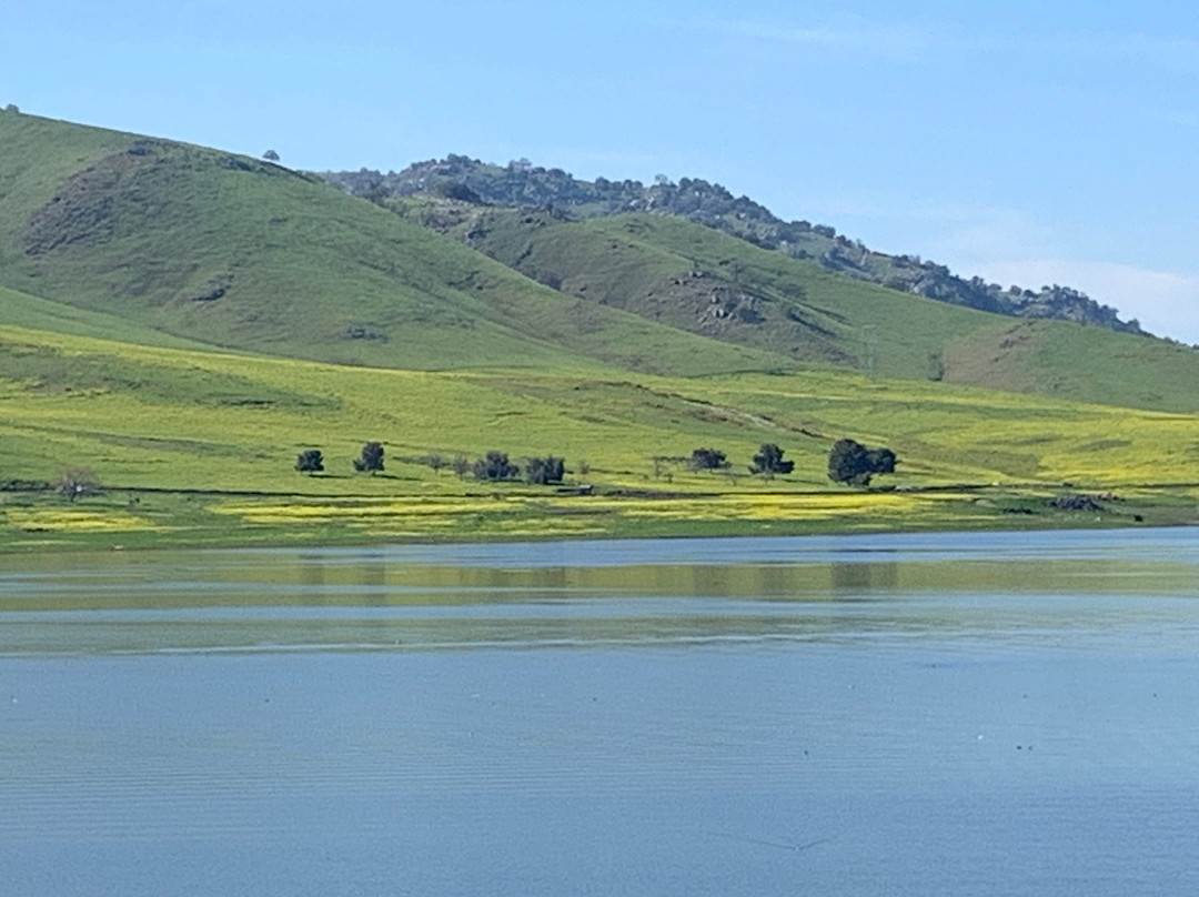 Lake Success景点图片