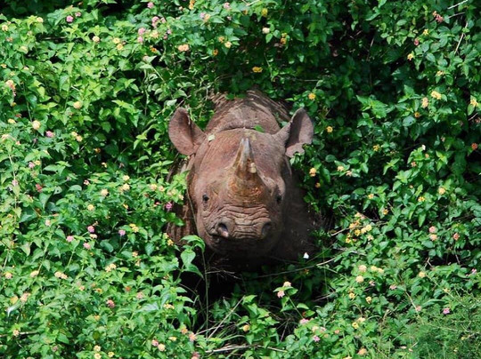 1000 Hills Safaris-吉佳利必去景点