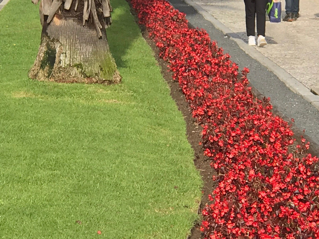 Cascais Experiences-埃斯托里尔必去景点