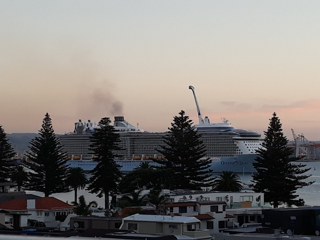 The Atrium Apartments主图