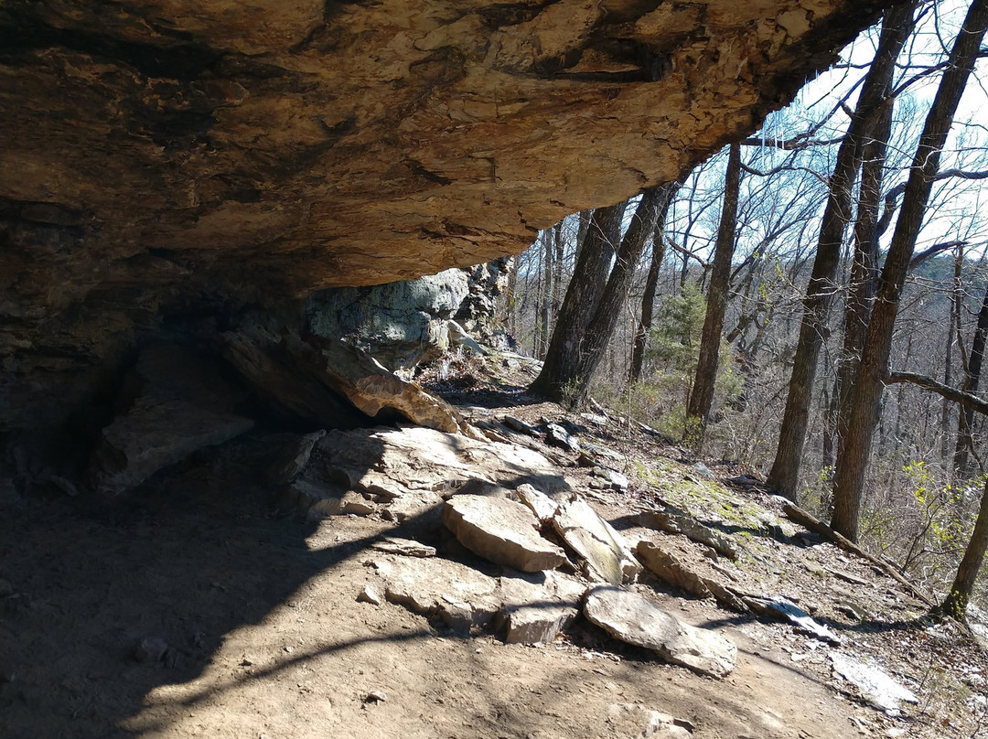 Land Trust of North Alabama-亨茨维尔必去景点