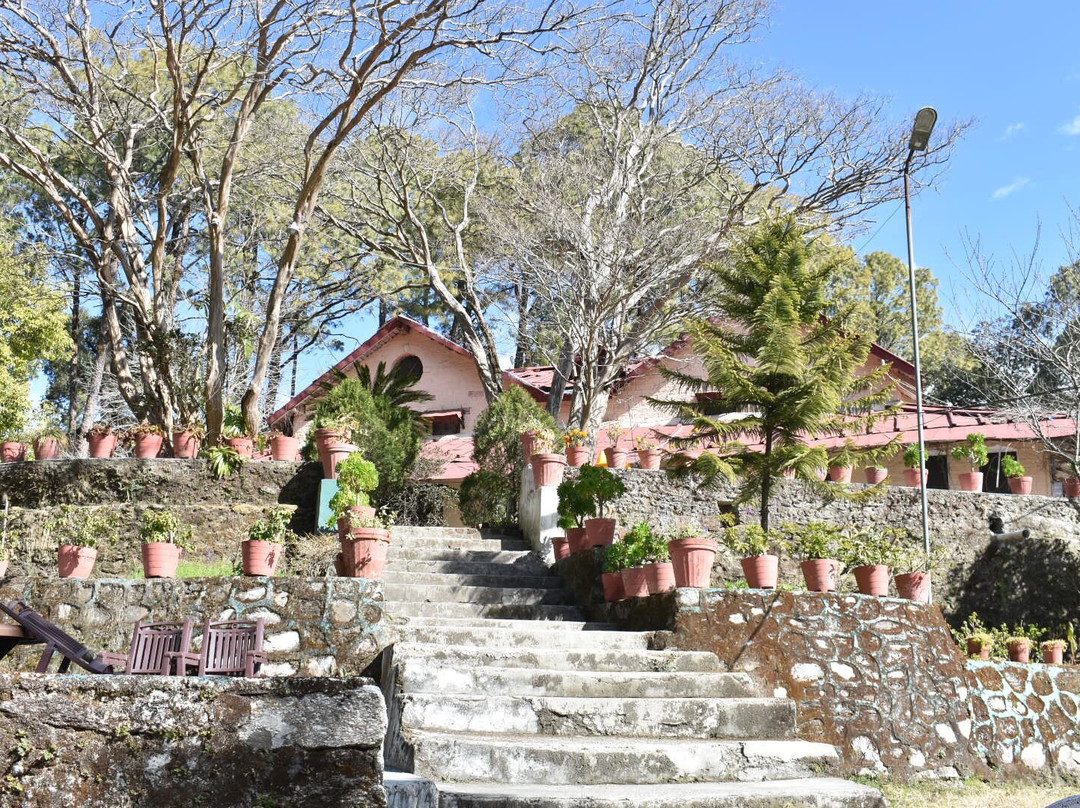 Fairydale Resort主图