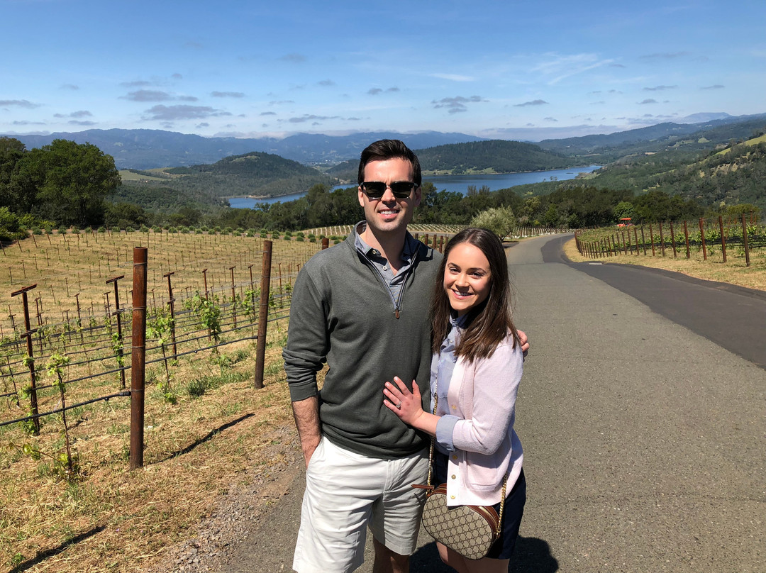 Napa Sonoma Wine Tasting Driver景点图片