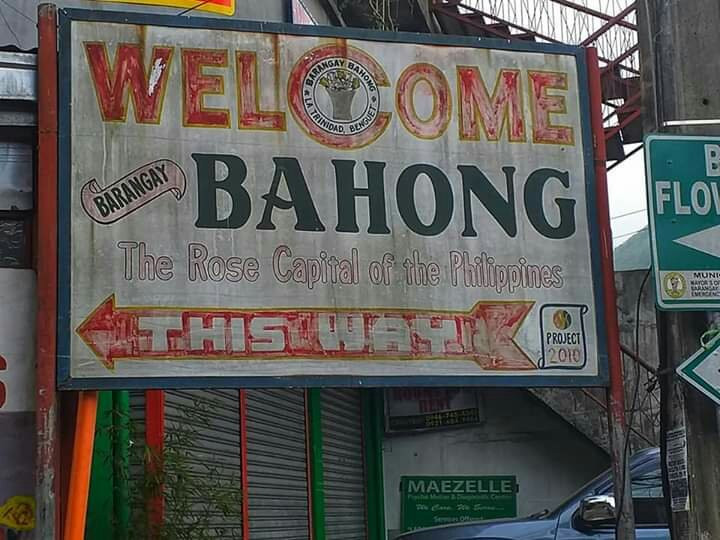 Bahong Rose Gardens景点图片