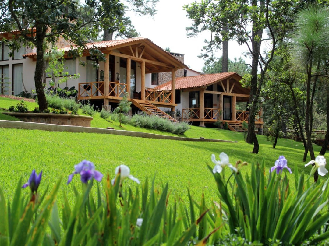 Cabanas La Vid Del Bosque