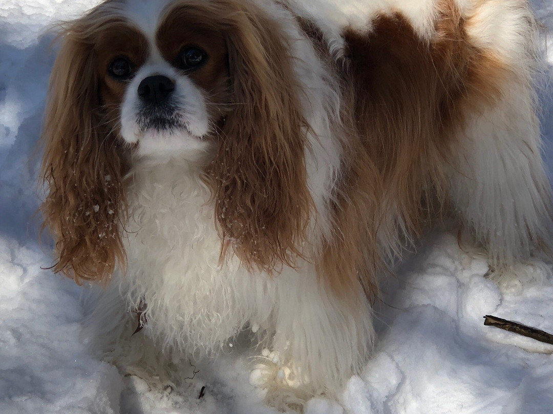 Clark's Hill/Norton State Historic Site-Osage City必去景点