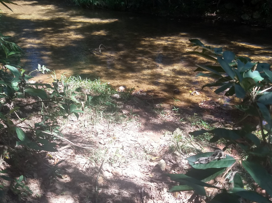 Hotel Chapadao da Canastra主图