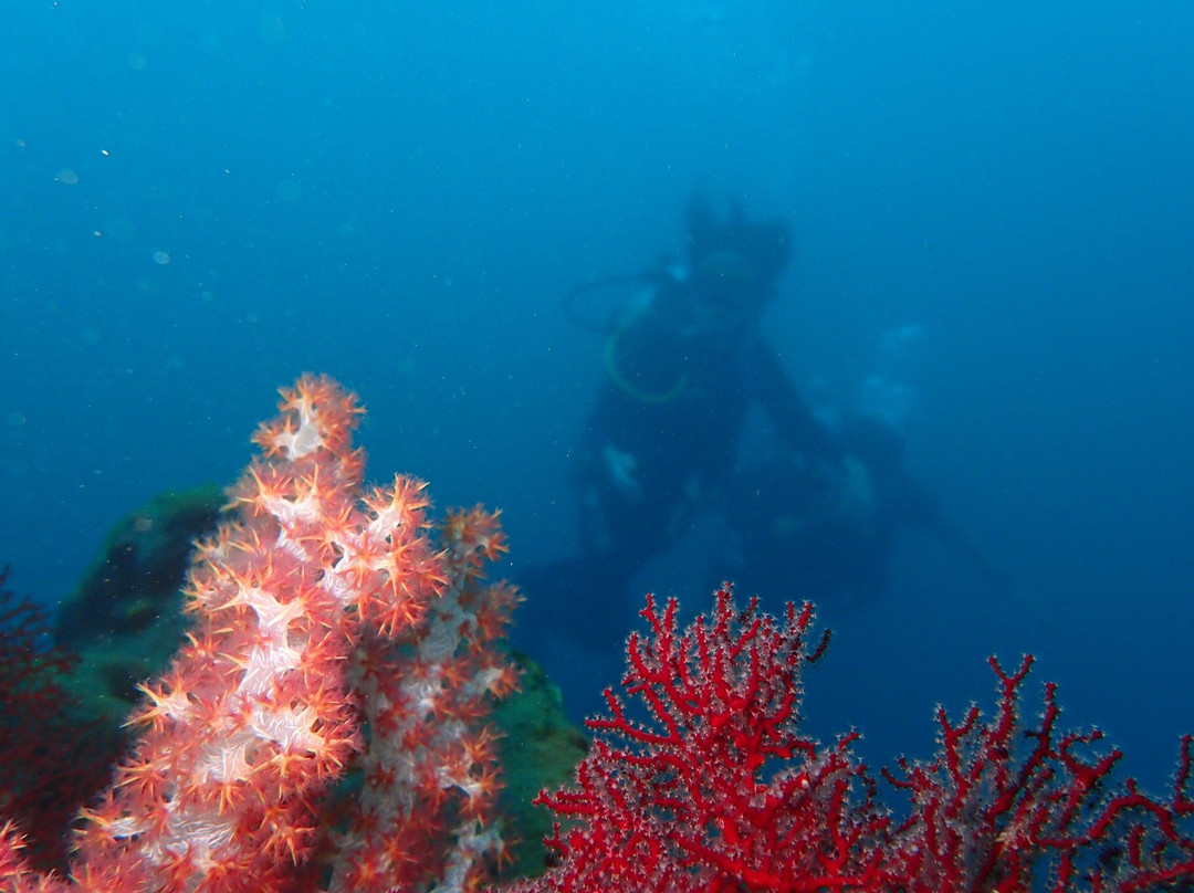 Bali Aqua Diving景点图片