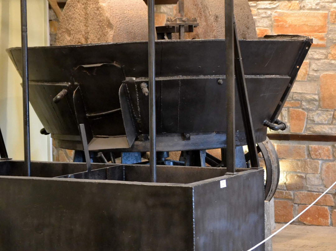 The Olive Oil Museum景点图片
