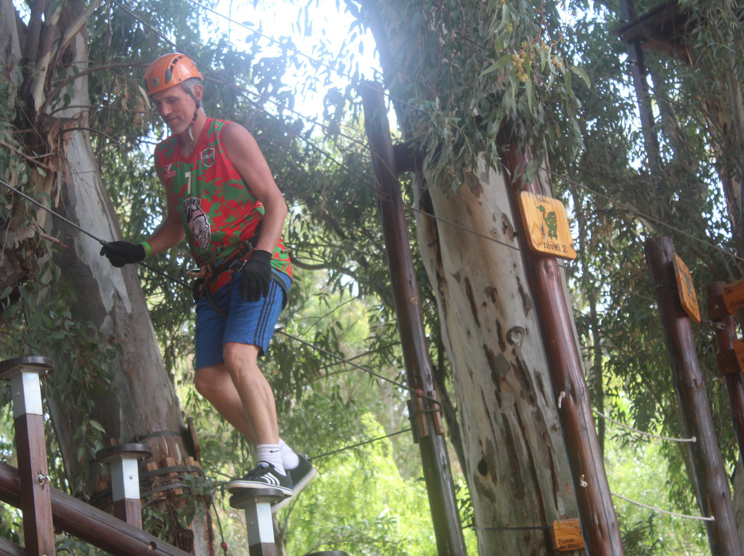 Bosque Aereo Euca-圣拉斐尔必去景点