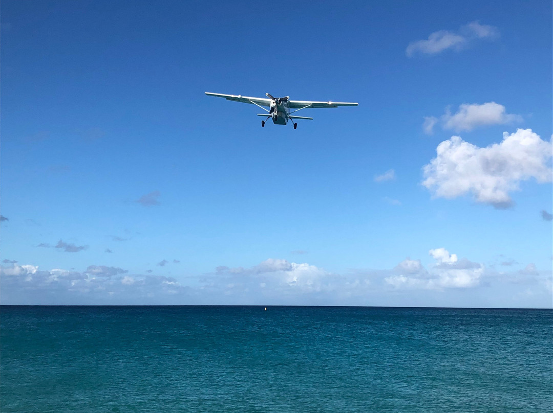 Sint Maarten Guavaberry景点图片