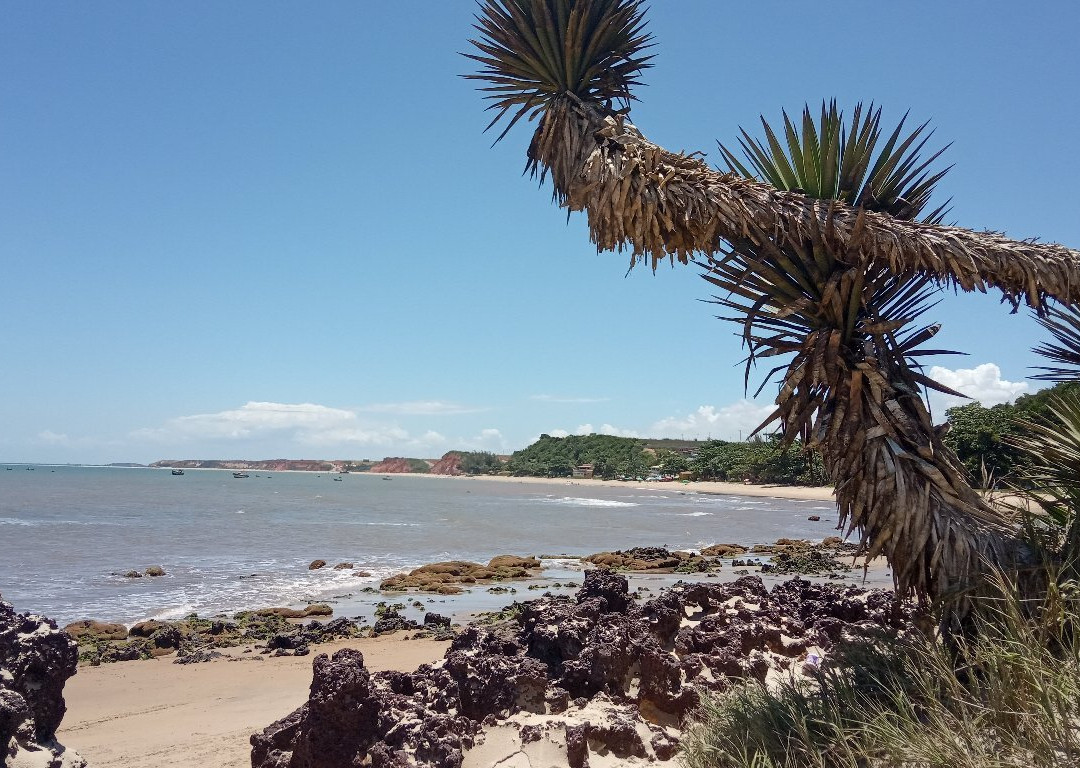 Praia dos Cacoes景点图片
