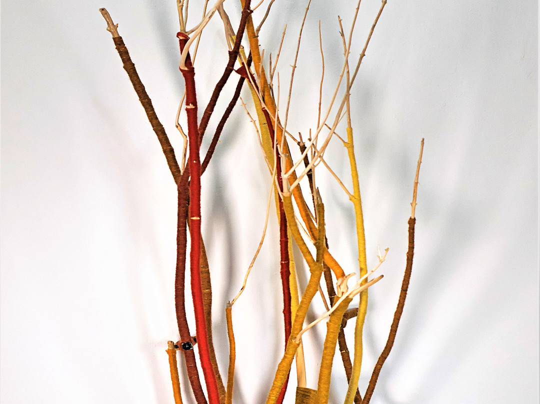 Interfibers Studio Gallery Door County-Fish Creek必去景点