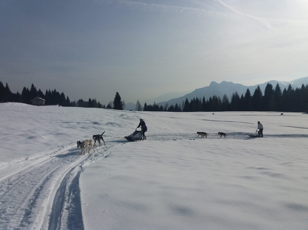 Scuola Sleddog Federale Nazionale-Lavarone必去景点