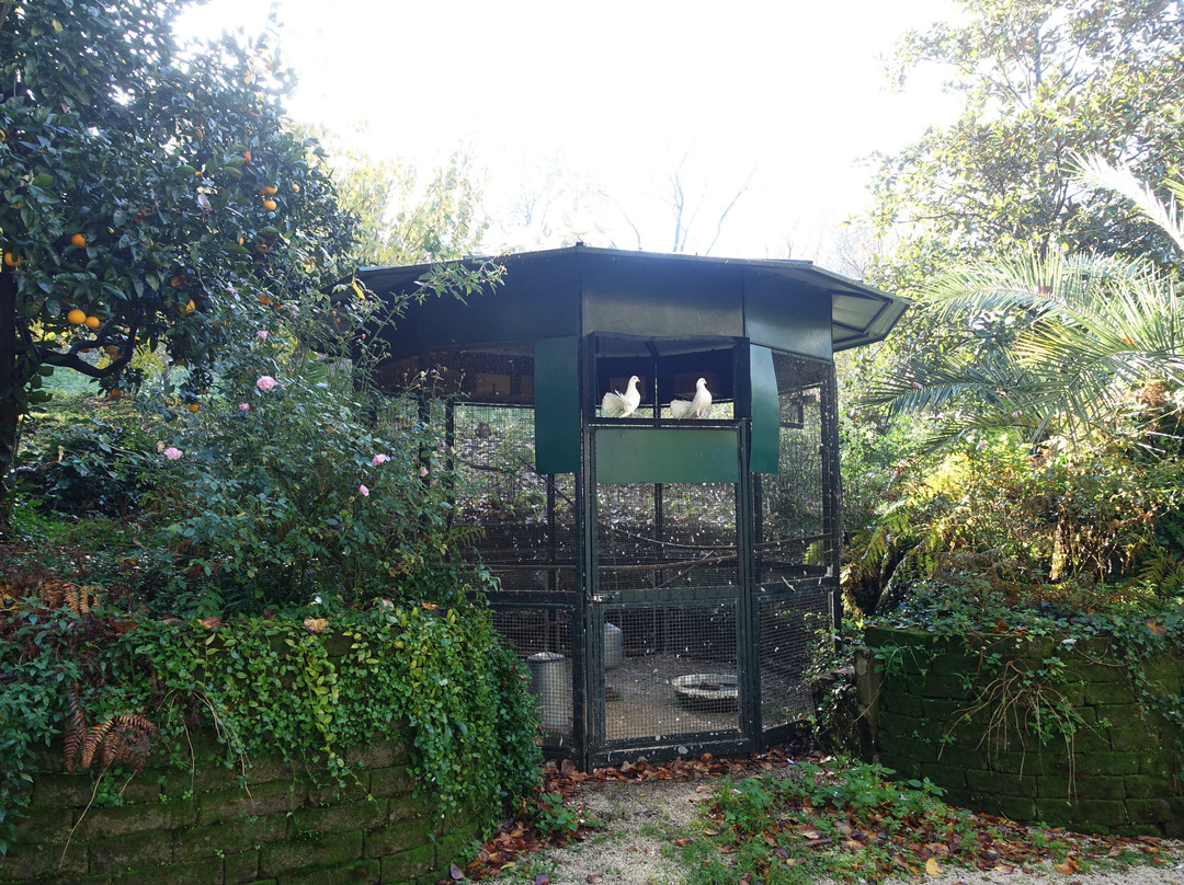 B&B Relais Castelcicala主图