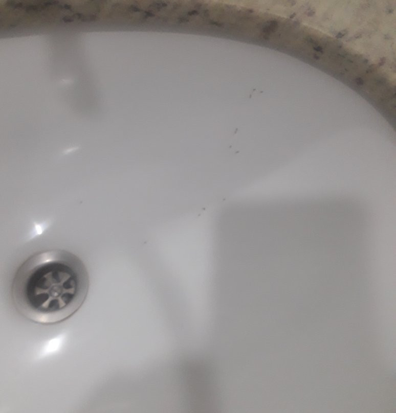 Muffato Plaza Hotel主图